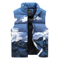 Sports vest for men and women martial arts sports student training vest warm vest autumn and winter waistcoat sleeveless cotton coat