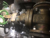 JIS F7367 F7368 Marine bronze gate valve Japanese standard bronze rising rod type gate valve