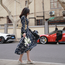 Zhao Yi - Fan - style my aesthetic recommendation Special printing 6A silk elegant art department printing long sleeved dress