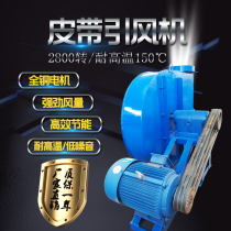 220V bath boiler induced draft fan Industrial centrifugal chimney dust removal 380V high temperature resistant belt type exhaust fan