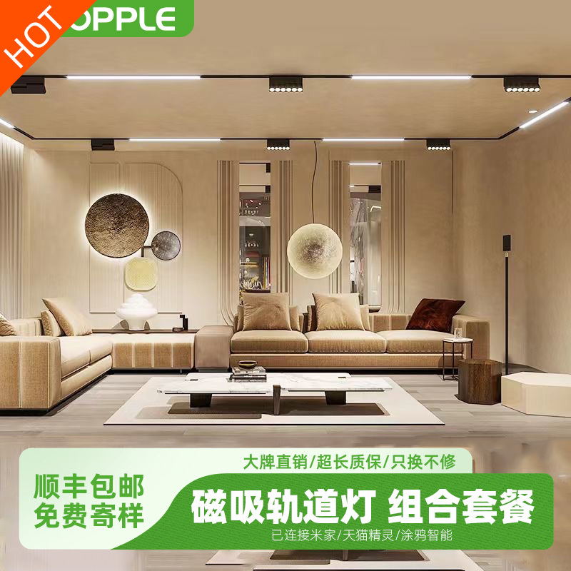 Opple Magnetic Track Light Embedded Recessed Ceiling Light for Gypsum Board, Pre-Installed Without Main Light, Living Room Floodlight Lighting