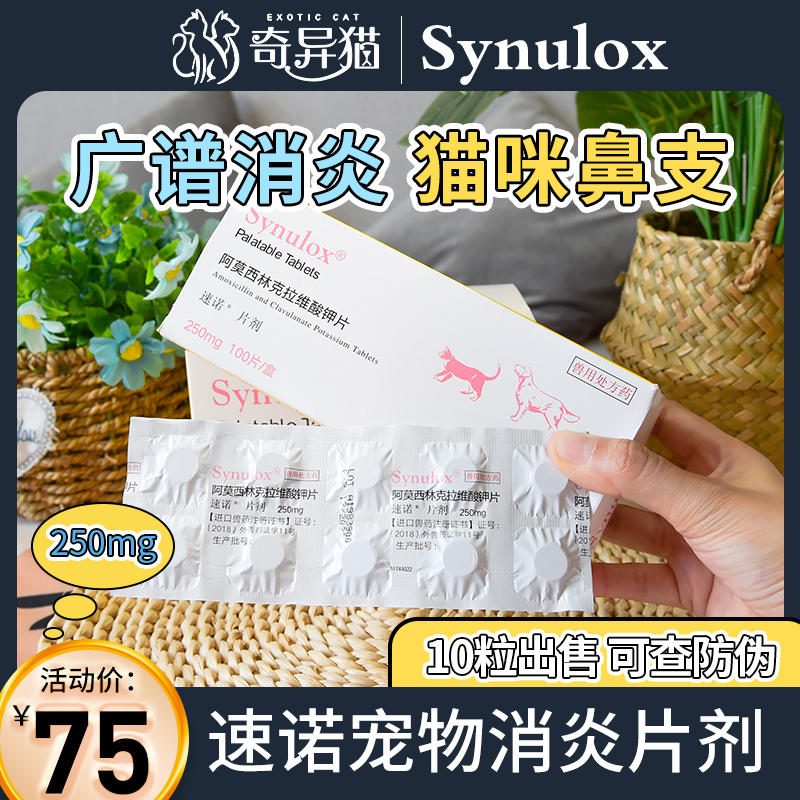 Pfizer stenotitis Cat Nose Kittens KITTENS Kittens Cold Cough Amoxicillin 250mg10 Grain