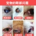 Pháp Vic eye net 60ml pet eye wash dog cat eye eye to eyes mí mắt - Thuốc nhỏ mắt Thuốc nhỏ mắt