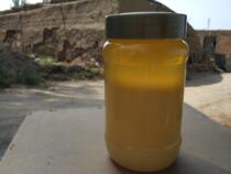 Rural native honey 750 gr in the area of the