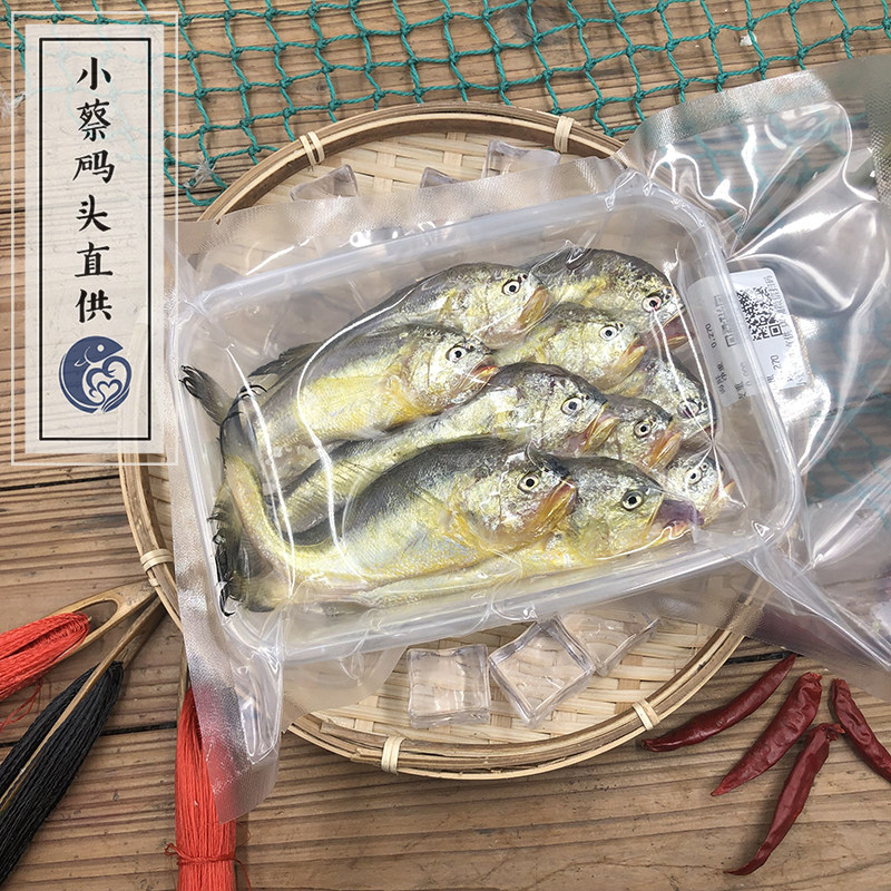 梅童鱼家族的多样性与美味之道-黄鱼-淘宝百科网