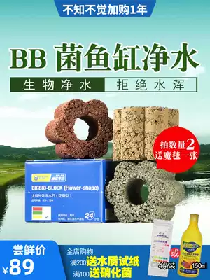 BB bacteria water purification stone fish tank microbial filter material decomposition fish stool aquarium purification filter material nitrifying bacteria free water change