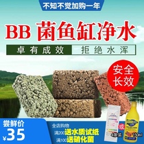 Microbial BB bacteria water stone fish tank aquarium filter material sea water tank fish excrement purification-free water filter material