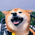 Zazikel严选