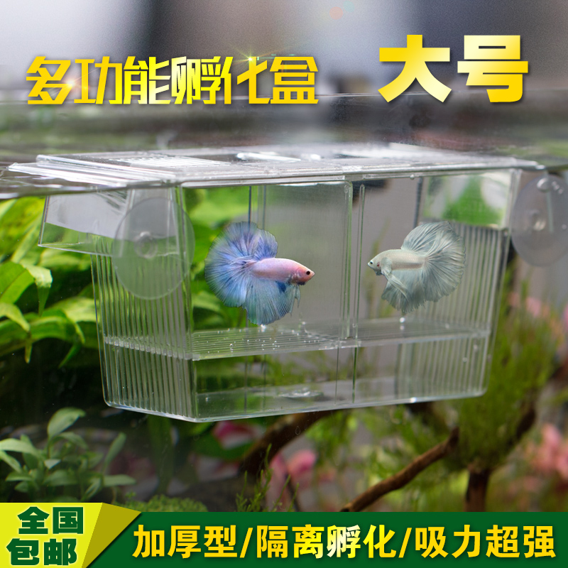 Self-floating fish fry box double-layer juvenile fish incubation box guppy disease fish isolation box betta fish box breeding device large
