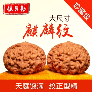 [文玩核桃精品53mm特大王勇麒麟纹官帽收藏级四座楼闷白狮子头送礼]
