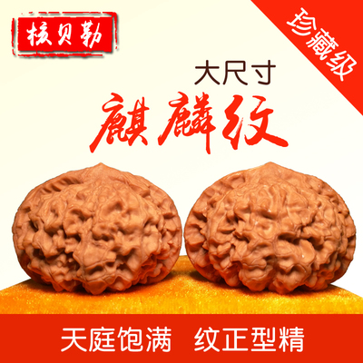 Wenwan Walnut Boutique 53 мм Wang Yongqi Qilin Patter