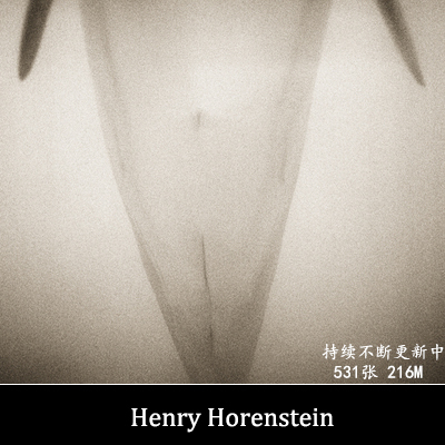 Henry Horenstein Animal Portrait Photography Black and White Photography Photography Reference Electronic Images