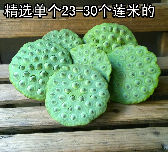 WP_20130723_014.jpg