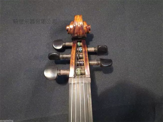 Nhạc cụ tưởng tượng, violin 5 dây điện tử, chơi violin điện âm, phụ kiện bằng gỗ mun - Nhạc cụ phương Tây
