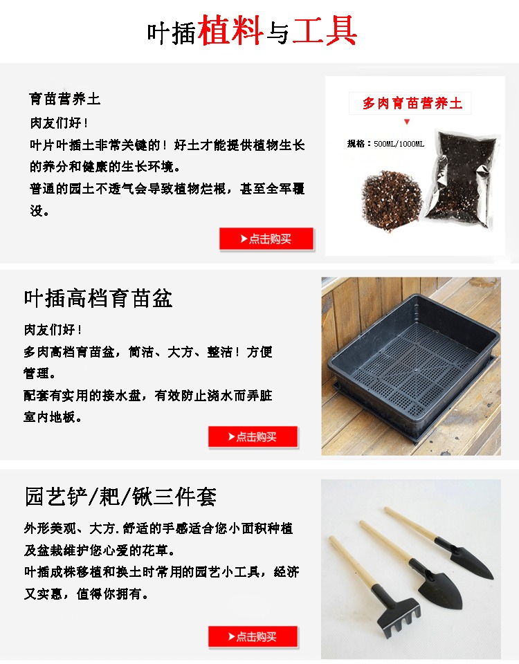 Mọng nước, tiểu cảnh, làm vườn, trồng trọt, bộ dụng cụ, xẻng hoa, tưới nước, ga, thổi, bọ cạp đồ làm vườn