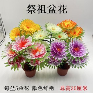 Sacrifice potted flower peony flower bonsai flower tombstone decoration flower in front of the grave