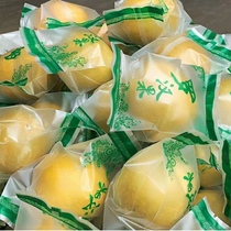 Authentic dried mangosteen fruit produced in Yongfu Guilin Guangxi golden mangosteen low-temperature dehydrated independently packaged large fruit