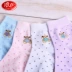 Langsha chính hãng cotton chải kỹ vớ nữ mùa xuân và mùa thu vớ cotton hoạt hình ngọt ngào trong ống cotton cotton thể thao vớ nữ tất dài cho bé gái Bít tất nữ