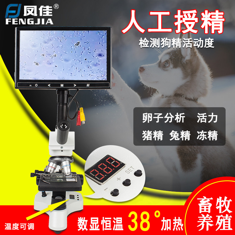 Fengjia digital display constant temperature microscope pig rabbit dog sperm animal husbandry artificial insemination high-power display temperature 38 degrees adjustable