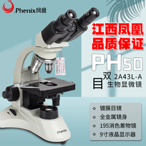 Jiangxi Phoenix's positron double-eyed student microscope PH50 type 2A43L biological 1600 times scientific teaching experiment