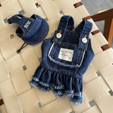 Летнее милое джинсовое кружевное платье, комплект, в корейском стиле