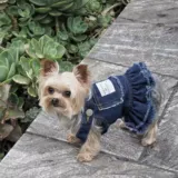 Летнее милое джинсовое кружевное платье, комплект, в корейском стиле