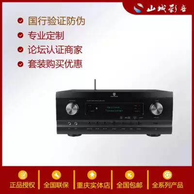 Winner Tianyi AT-2300 AD-9313EHD Dolby panoramic sound DTS cinema multi-channel shadow K power amplifier