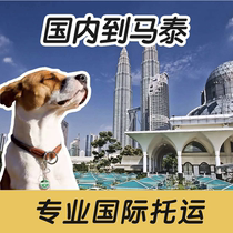 International pet consignment (cabin) domestic to Malaysia and Thailand return document processing
