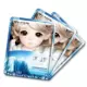Authentic Hàn Quốc Ji Bing búp bê hyaluronic axit làm dịu da giữ ẩm mát lạnh băng phim mặt nạ dưỡng ẩm hộp sắt 10 miếng - Mặt nạ mặt nạ ngọc trai