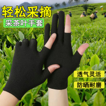 Finger-exposed gloves wear-resistant elastic breathable sunscreen labor protection touch screen nylon work men and women thin half-finger gloves