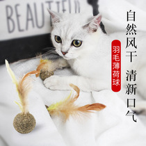 Cat toy cat mint ball lollipop teasing cat stick teeth cleaning molar belt feather mint ball cat ball teasing cat toy