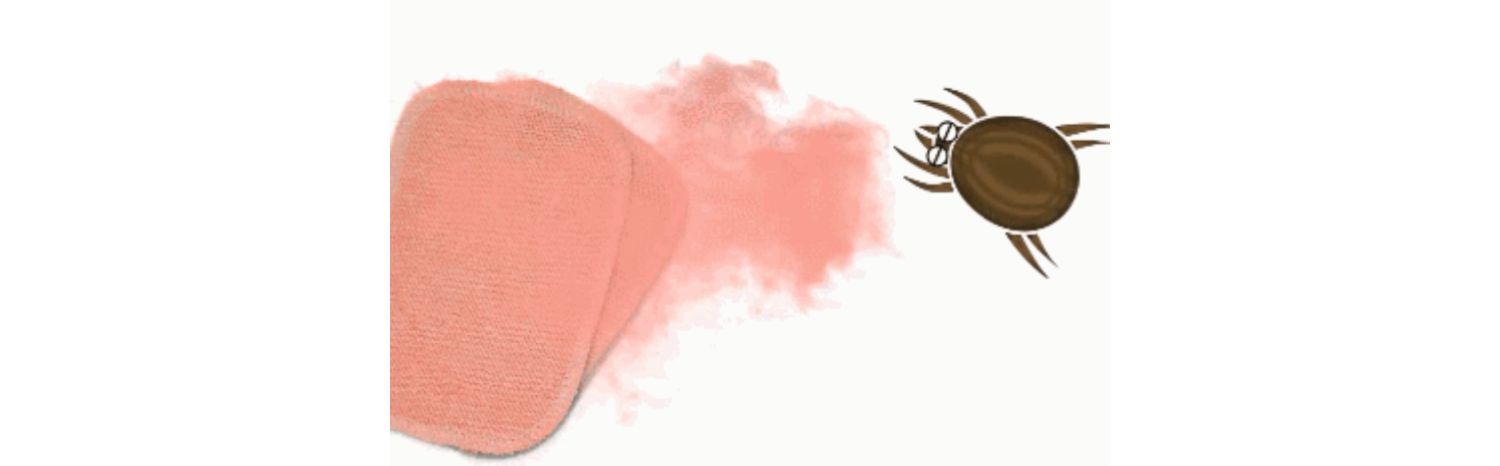 bình xịt muỗi tự vệ Châu chấu hoang dã Nhật Bản dán lên ve, ve, dán, giường gia đình, chăn, mạt, thuốc chống côn trùng - Thuốc diệt côn trùng bình xịt diệt côn trùng
