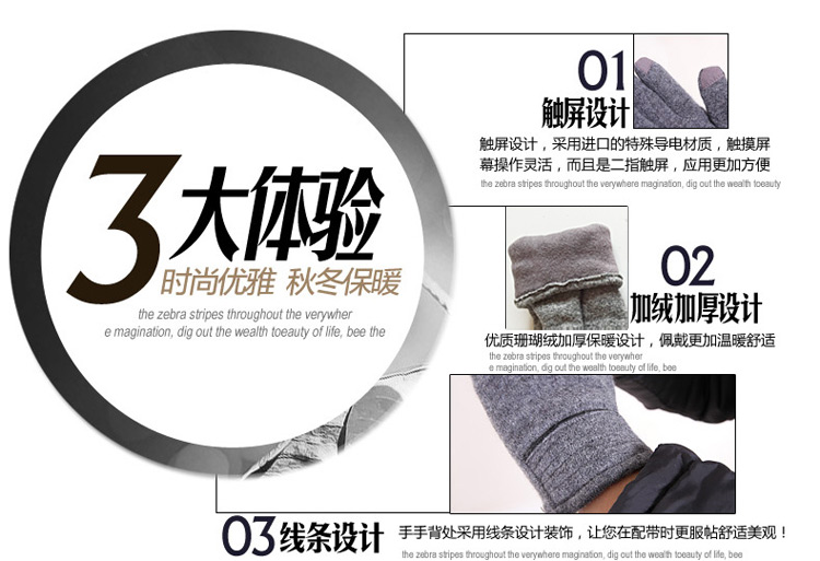Gants pour homme en Laine Cachemire - Ref 2782640 Image 9