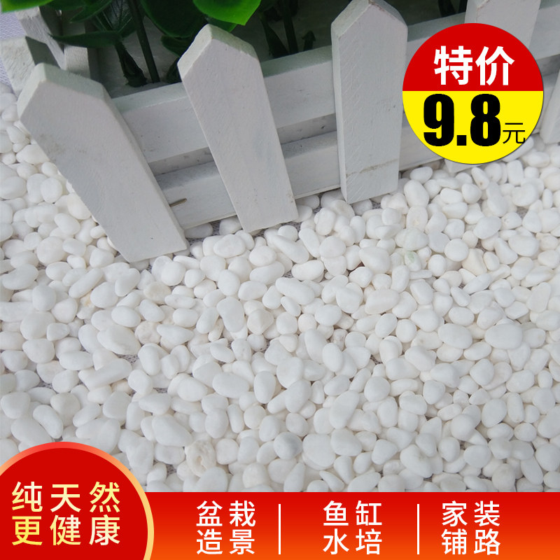 White Small Stones Rain Flowers Pebble Pebble Water permaculture Decorative Paved patio Multi-meat natural cobblestones
