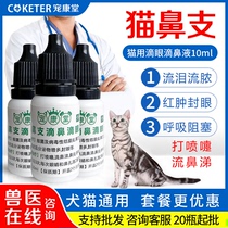 Treatment of cat tears eye shit cold sneezing runny nose eye water tear stains inflammation cat nose eye drops