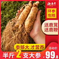 Fresh ginseng fresh Changbai Mountain pruning with soil Northeast wild ginseng ginseng