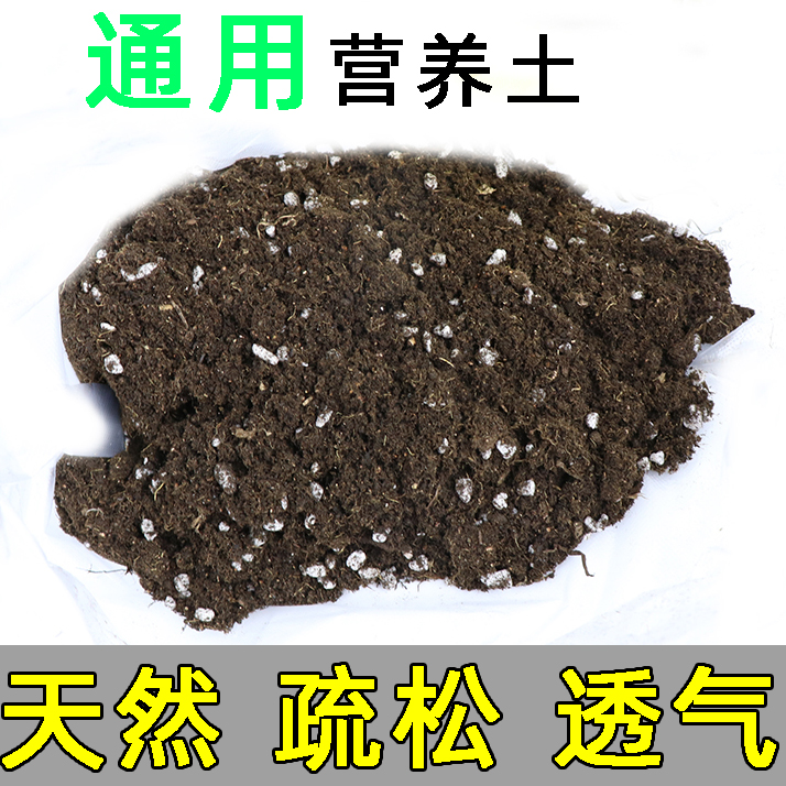 Peatland Vegetable Flowers Cultivation Nursery Nourishment Soil Organic Matrix Fertilizer Versatile Home Balcony Species Vegetable Soil