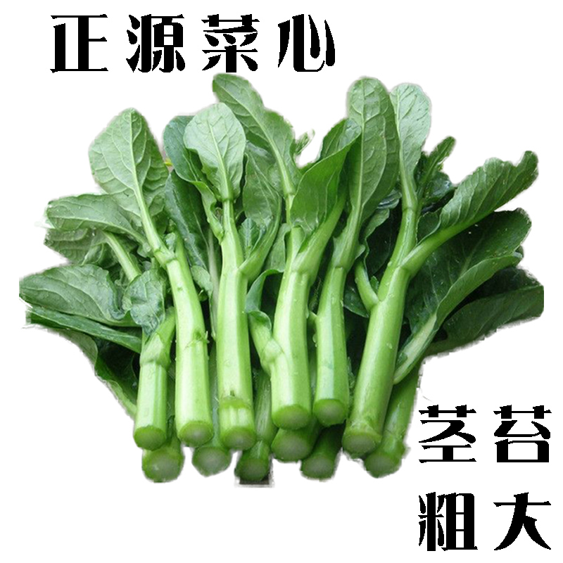 Guangdong beet heart seeds relict cabbage heart vegetable bolting vegetable bolting spring and autumn days four seasons sowing balcony potted vegetable seeds