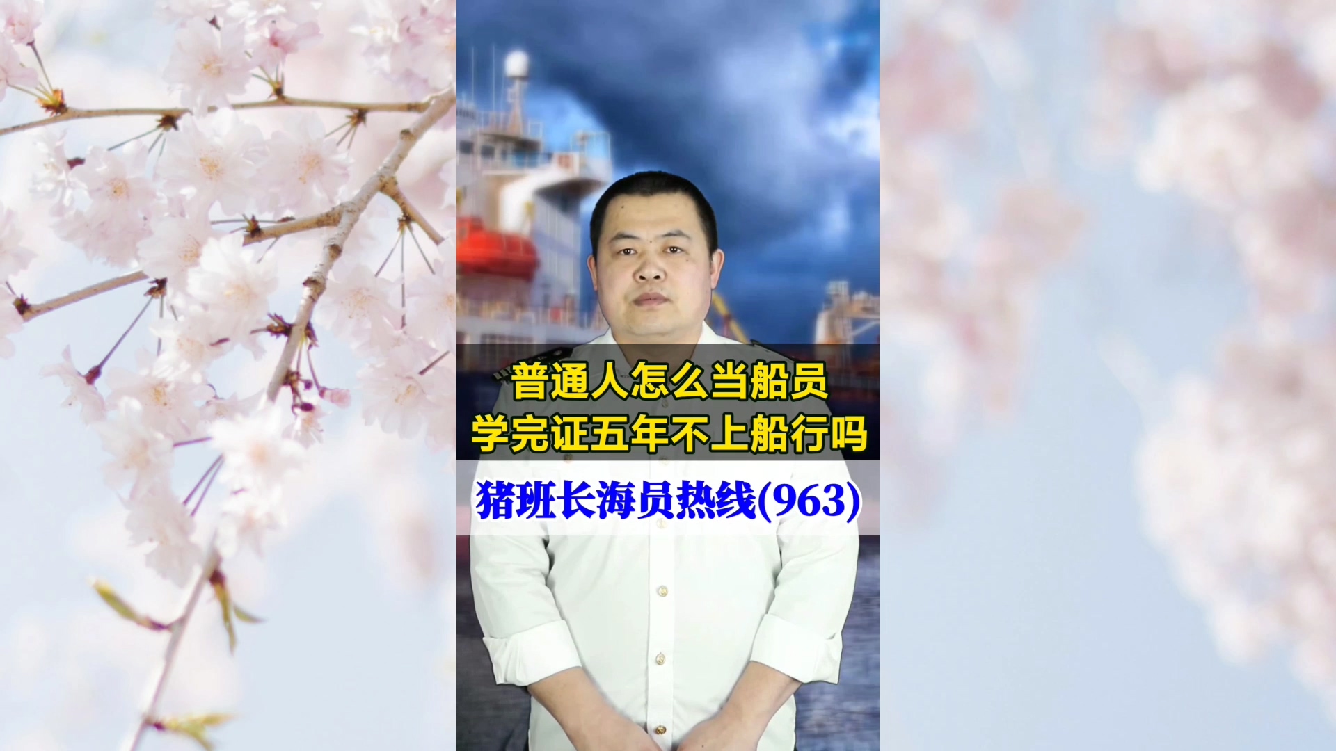 普通人怎么当船员？学完证五年不上船行吗(猪班长海员热线963期)