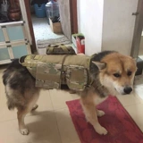 Дорожные тактические подтяжки, жилет, комплект, подходит для подростков