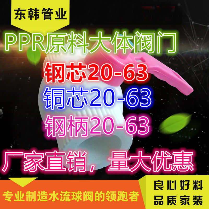 Promotion Shinghong 4 minutes 20 6 minutes 25 1 inch 32 thick double heat heat fuse ppr valve core ball valve copper core