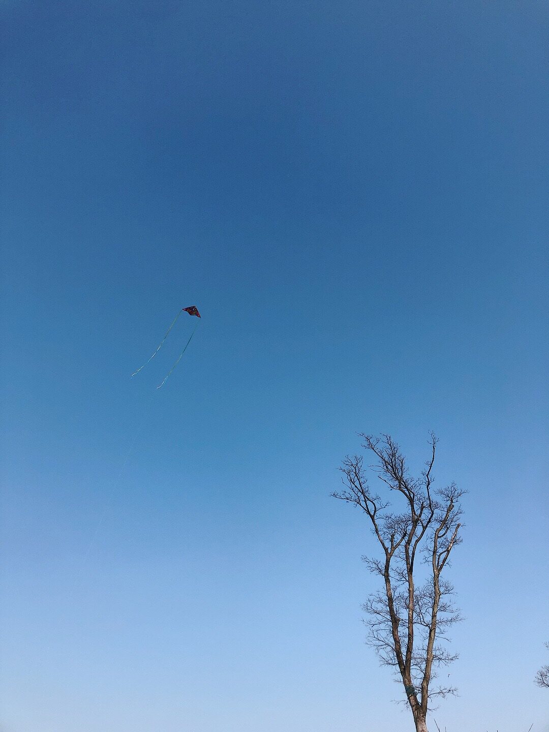 воздушный змей 布质零基础也可以放！便携风筝易飞轻便儿童户外玩具游戏踏青礼物 OTHER