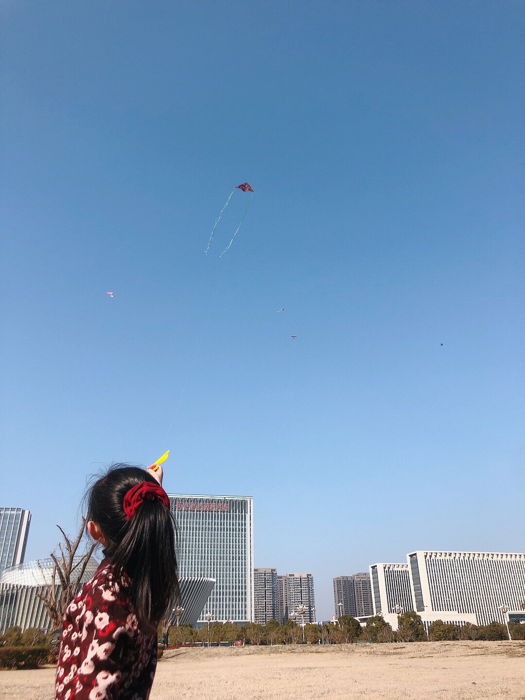 воздушный змей 布质零基础也可以放！便携风筝易飞轻便儿童户外玩具游戏踏青礼物 OTHER