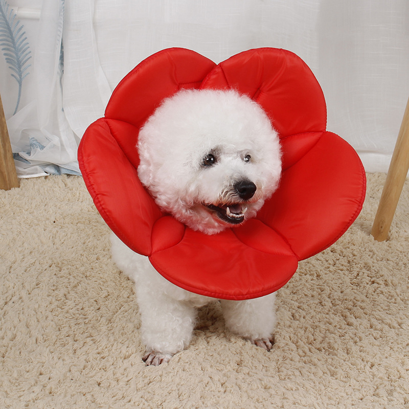 Hot Selling Pet Elizabeth Ring Small and Medium Dog Teddy Anti-licking Collar Cat Cute Flower Neck Collar Dog Collar
