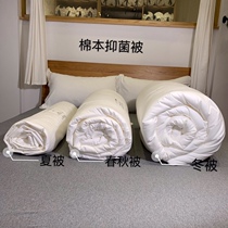 Nordic simple 40 cotton warm and soft breathable winter quilt white spring and autumn quilt single double skin quilt core