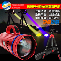 2021 New Beijing Apex Night Crown T240W laser cannon T300W fan cooling fishing Night Fishing light H170