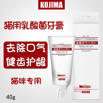 Japan kojima pet cat special toothpaste lactic acid bacteria gel edible milk flavor tooth cleaning 40g