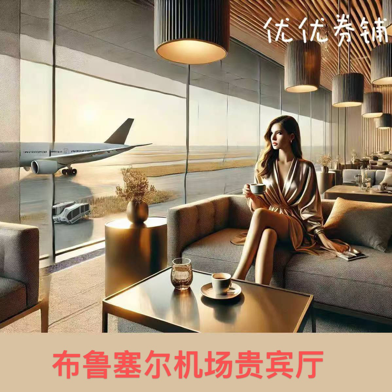 Bru Brussels Airport Vip First Class Lounge Vip Transfer and Wait for Departure Home