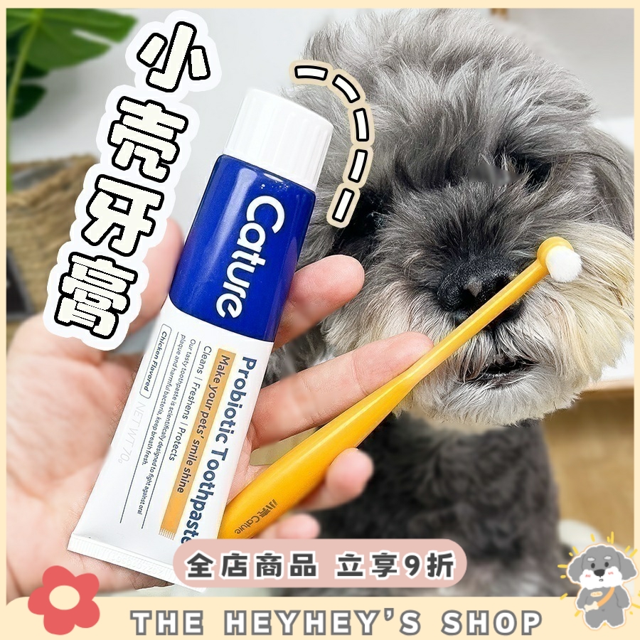 小さなシェルの犬猫用歯磨き粉歯ブラシセットは口臭を取り除き、歯垢を除去し、食べられる口腔ケアです