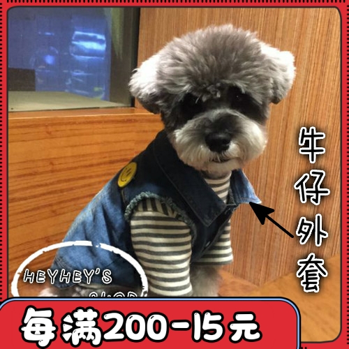 Super Tide Scrub Vest Pet Dog Cute Cowboy Vest Coat Schnauzer Teddy Broad Bear